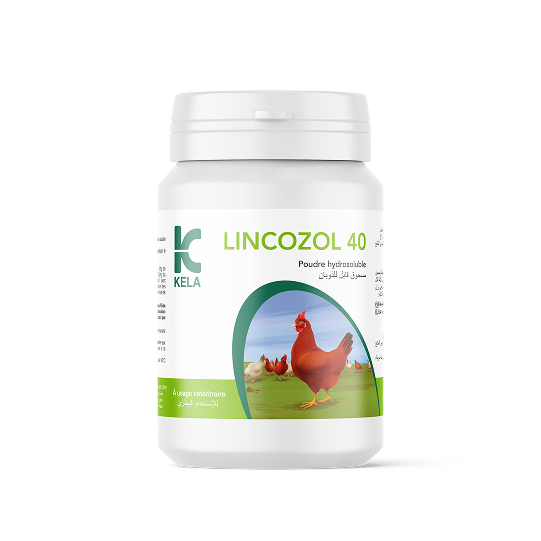 Lincozol 40