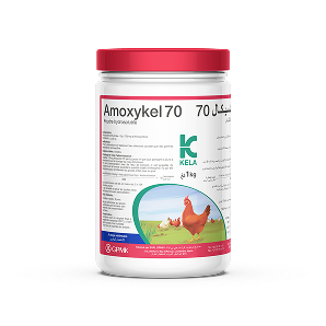 Amoxykel 70